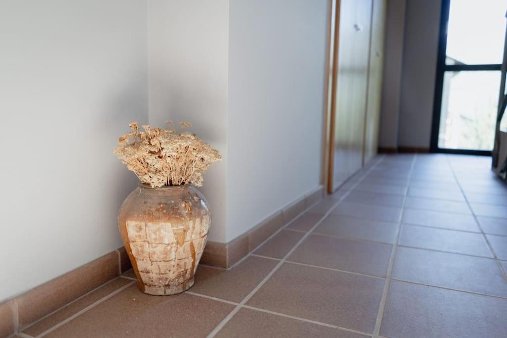 Casa Llop A Pauels, Vall Fosca Pauls de Flamisells Exterior foto
